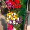 ss-florist-chennai-xw2lhrainn