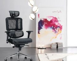 style-furn-adyar-chennai-furniture-dealers-ub622j9k4k-250