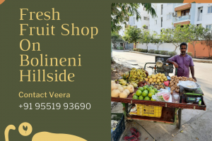 veerachandra-fruitscart