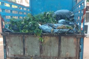 waste cleaning OMR and ECR